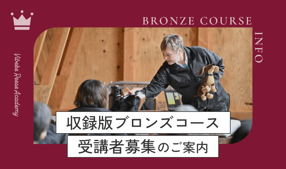 収録版ブロンズコース
